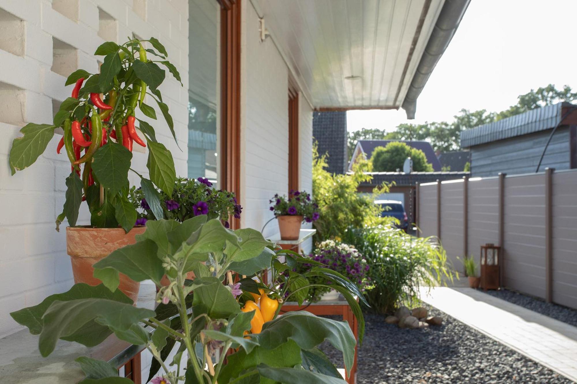 Ferienwohnung Aurora Winsen  Exterior foto